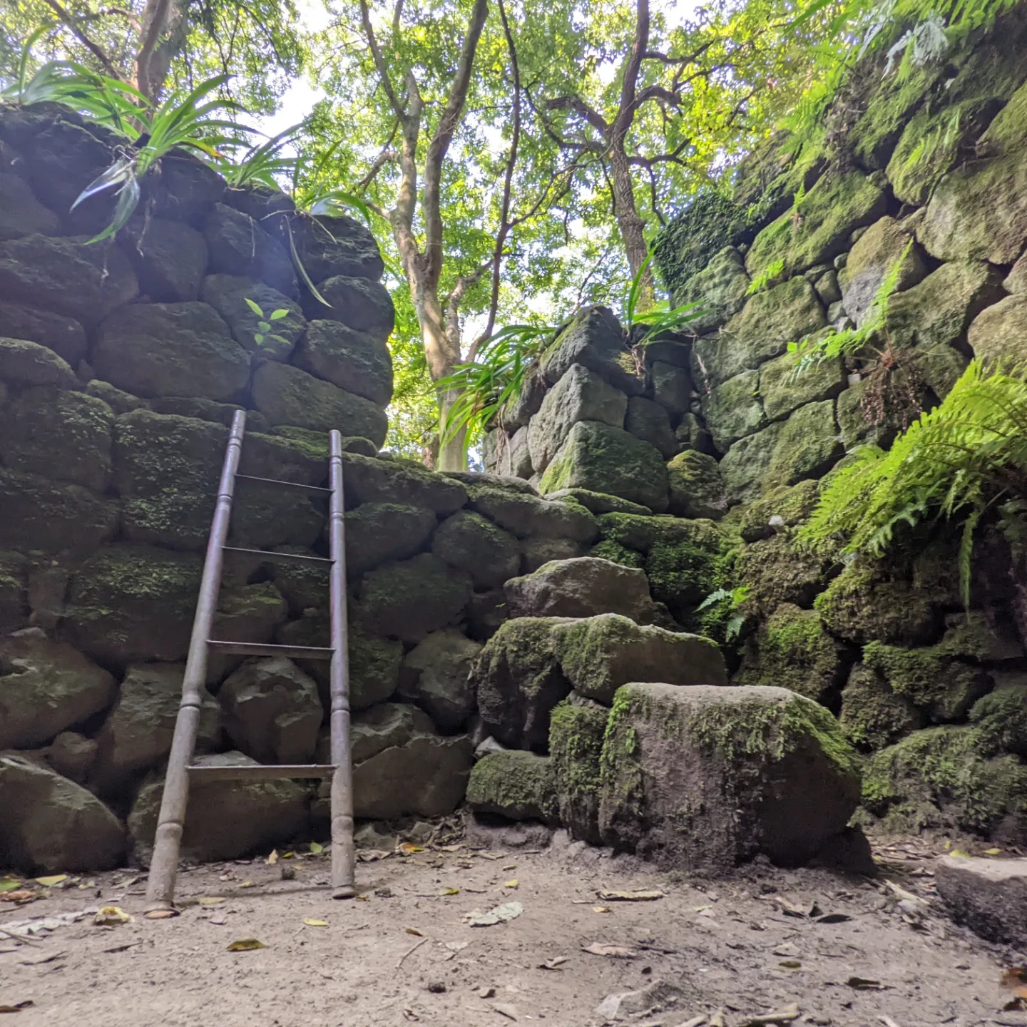 志保山の風穴